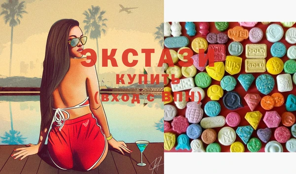 гашик Богородицк